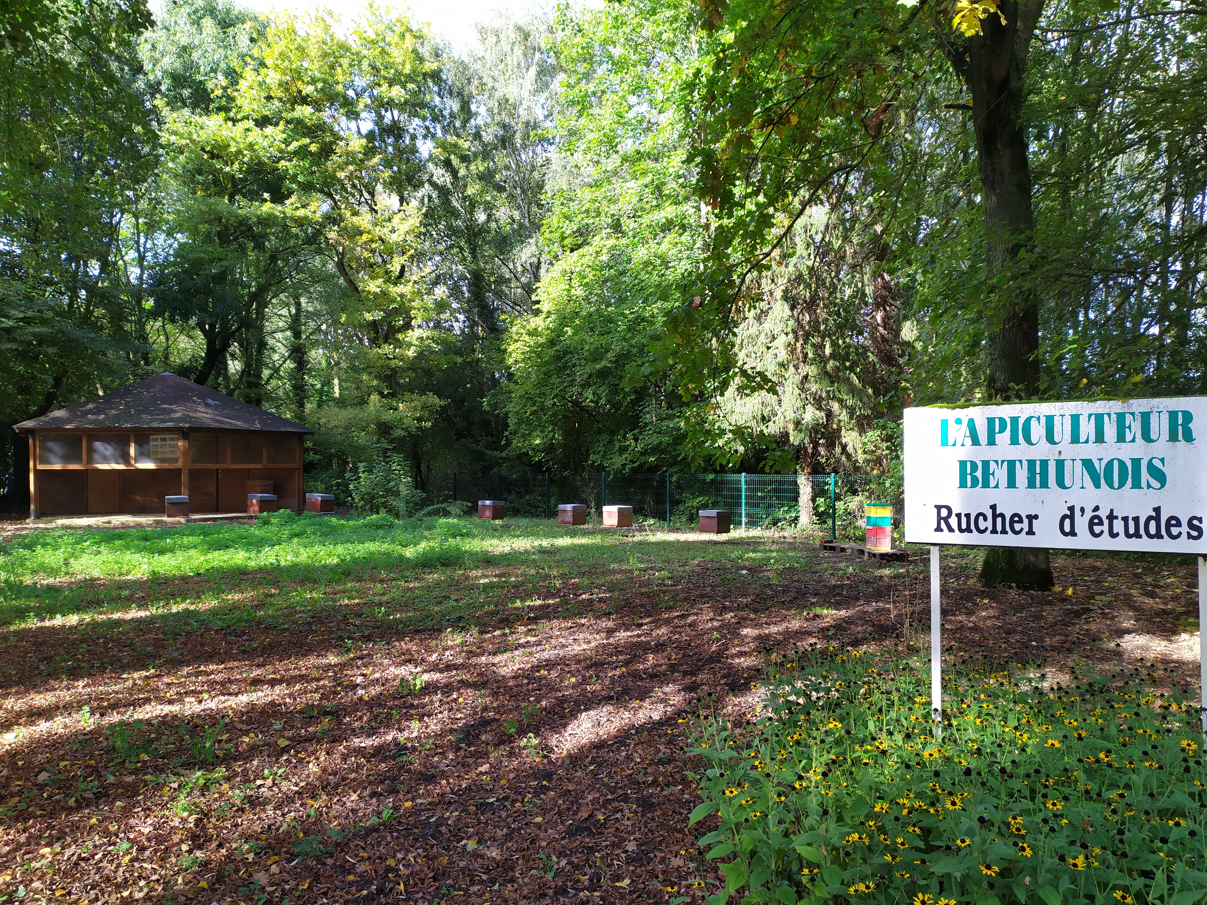 Photo ruches de l'apiculteur béthunois